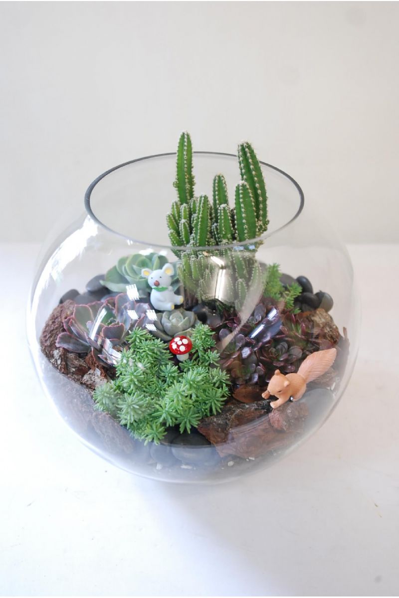 療癒款多肉玻璃圓缸造景Succulents in Fishbowl